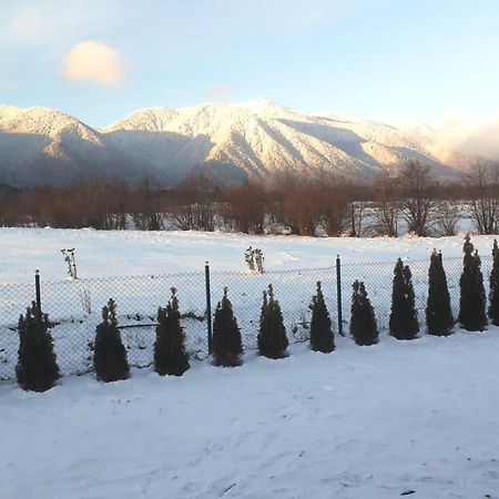 Villa Letizia Near The Pirin Golf Resort Bansko Exterior foto